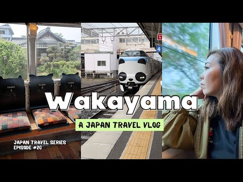 From Osaka to WAKAYAMA | 1-Day Itinerary: Japan's countryside, cat train station, themed trains