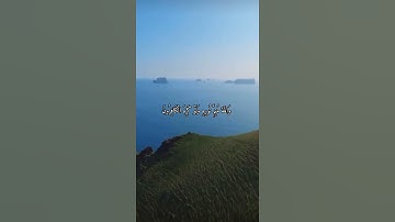 واتس اب قران كريم القارئ ياسر دوسري (سوره الصف)