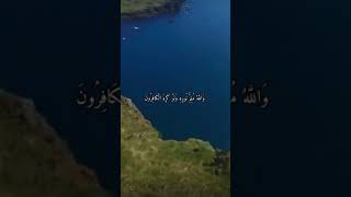 واتس اب قران كريم القارئ ياسر دوسري (سوره الصف)