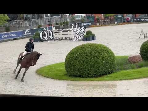 Los Limbos 140 CSI3* Opglabbeek
