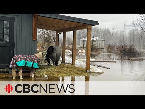 Parts of B.C. coping with floods amid record-high temperatures