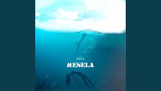 Mesela - Ta$kan