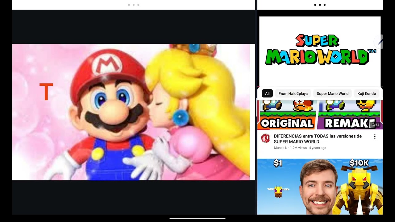 The great Battle of Mario's Life XD