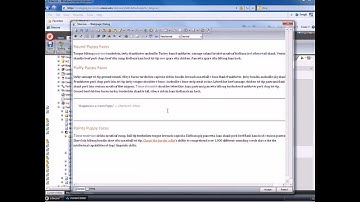 Sitecore Content Editor: Text Build