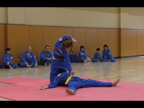 ボビナム PART13 VOVINAM ベトナム総合武術 格闘技