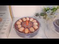 Full Eggs Incubator Blue Bird Egg Incubator For Home Use