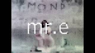mr.e bumper 2