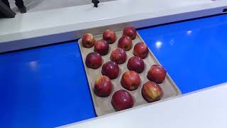 Fruit Logistica 2026 Ki Neuheit Reemoon Fruscan H10 Ai Powered Inspection System