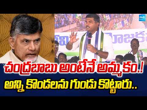 చంద్రబాబు అంటే అమ్మకం.! | Gudivada Amarnath Sensational Comments on Chandrababu | Bhimili| Sakshi TV - SAKSHITV