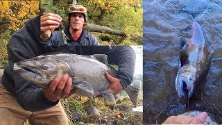 Salmon Fishing With Spinners ~ Late Season Coho & Chinook Salmon