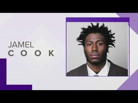 South Carolina Gamecocks Player Charged With Domestic Violence