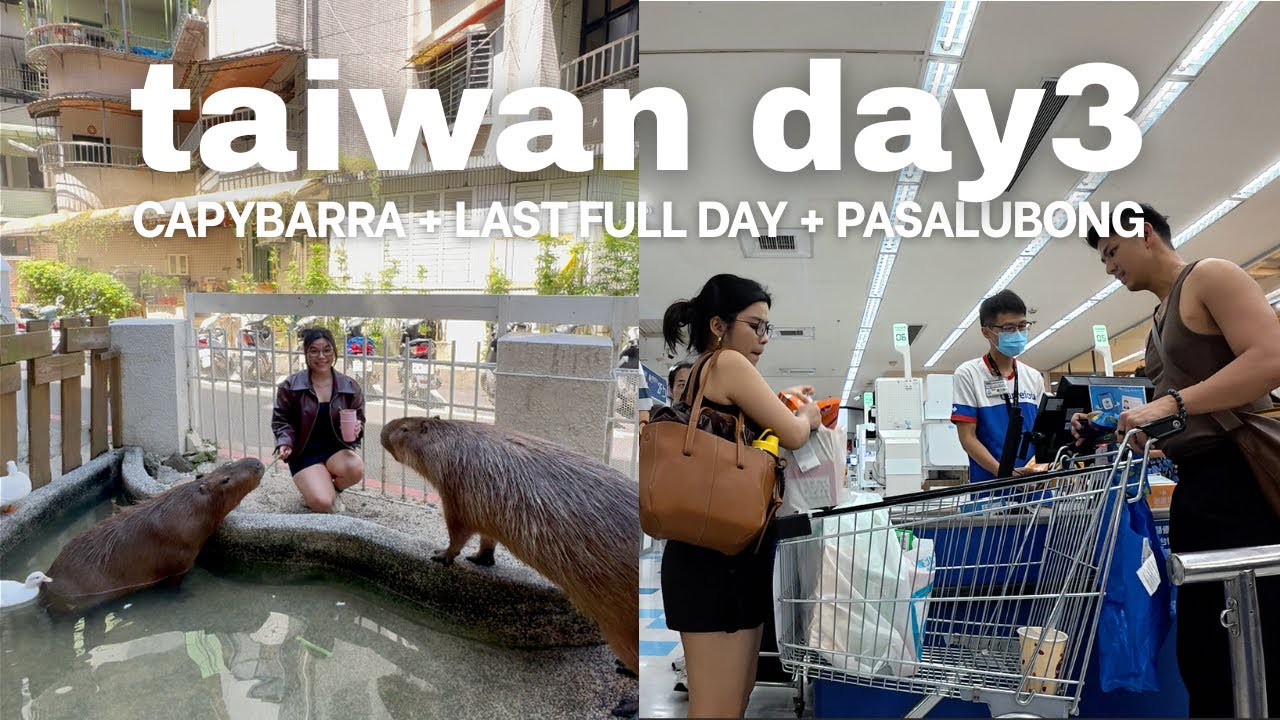 Taiwan Day3 (Last Full Day) Capybarra Knight + Carrefour + Going Home