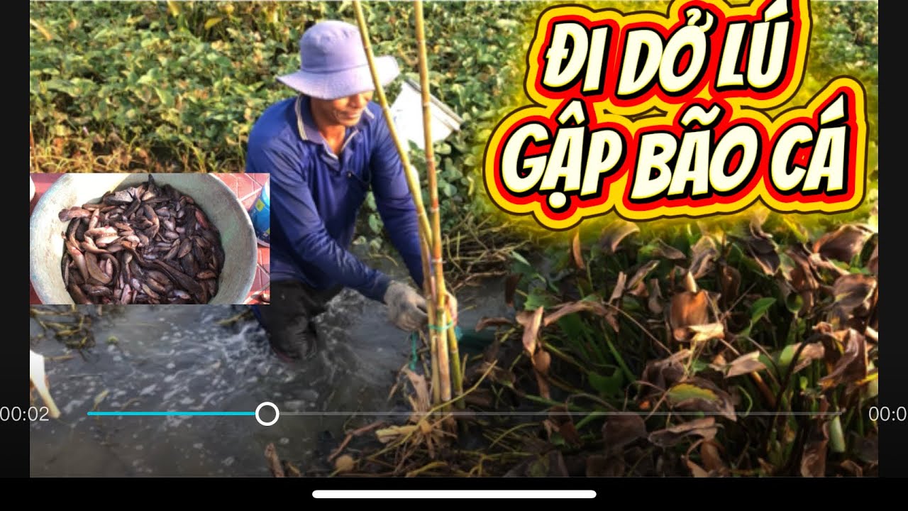 Trãi nghiệm 1 ngày đi dở lú đổ cá mỏi tay p1 