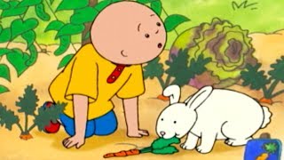 Caillou and the Bunny | Caillou Cartoon