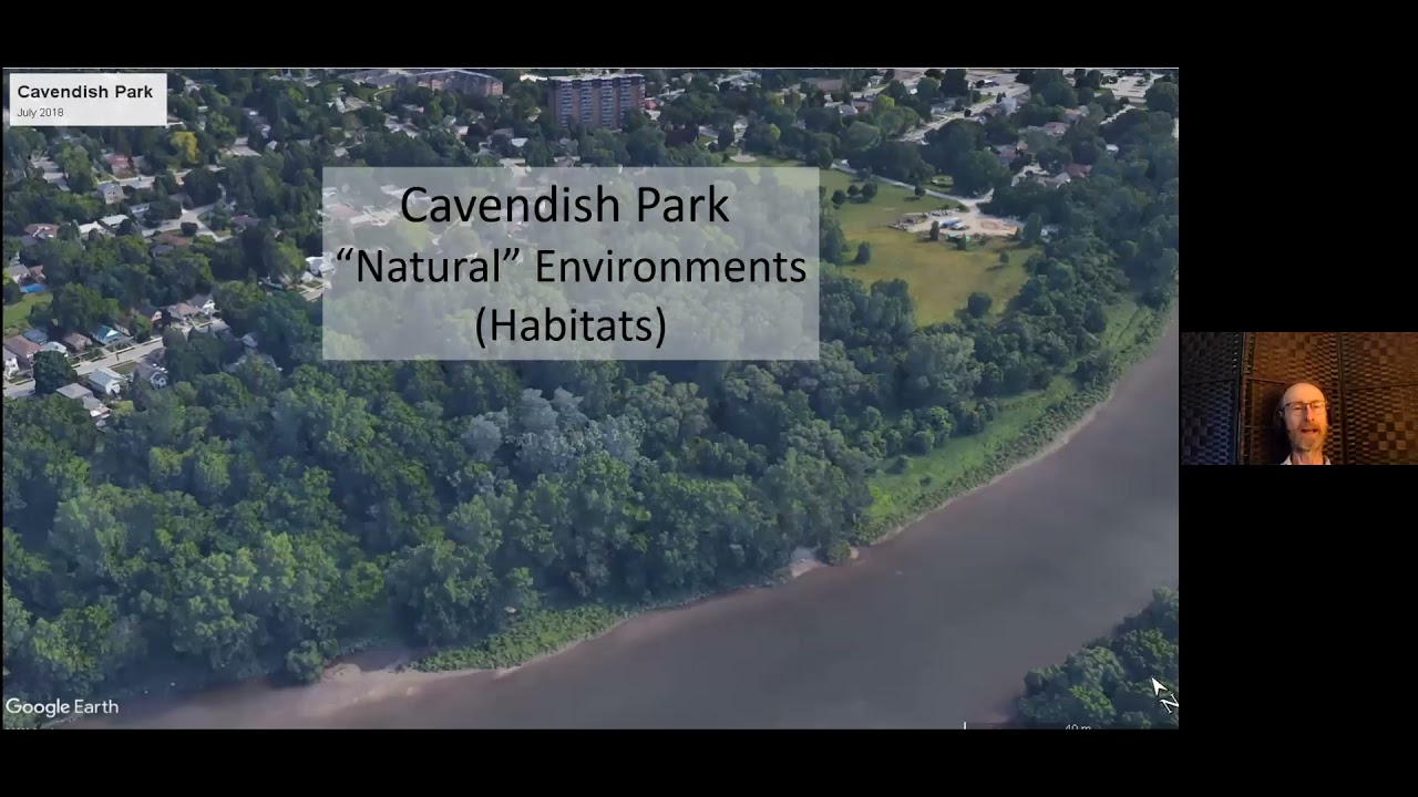 Natural history, wildlife and vegetation of Kensington Village area webinar