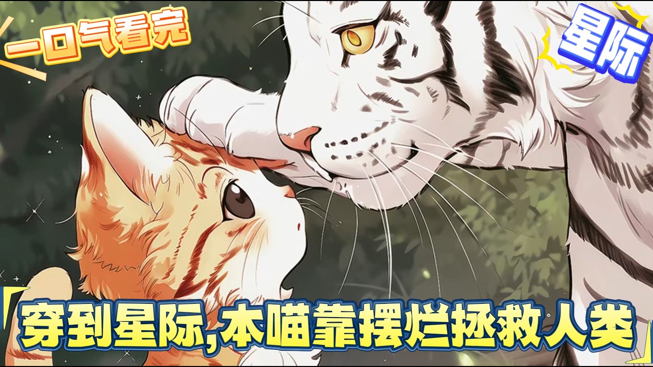 【完結文】一睁眼到星际时代了，变成猫的她，遇到了大佬白虎，卷入了一系列的争斗。每次老虎冲上去干架，猫猫就吃着鱼干等在一边。猫猫变成了人，跟着老虎回到了主星，你说猫猫有特殊身份？拜托，只是无辜的想摆烂…