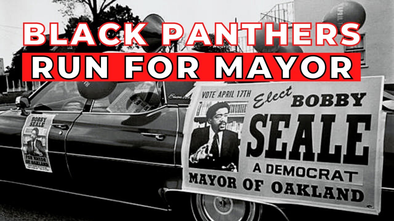 The Idea That RUINED the Black Panthers #onemichistory