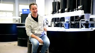 Modern Koi Blog #1464 - Technical or Medical Oxygen