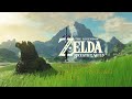 Breath of the Wild Kontrol ayarları,60 FPS Yapma,Hileler
