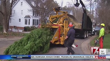 Insurance only covers certain criteria when a tree falls