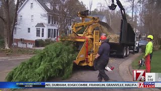 Insurance only covers certain criteria when a tree falls
