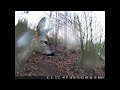 4K Trail Camera Review ¦ The Best Yet