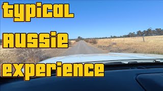 Typical Australian Experience #cheapcartours #roadtrip #fiattoferrari