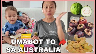 ANG ASIM NA HINAHANAP HANAP NI BUNTIS! EXOTIC FRUITS HAUL AT MAY BALUT PA! ❤️ | rhazevlogs