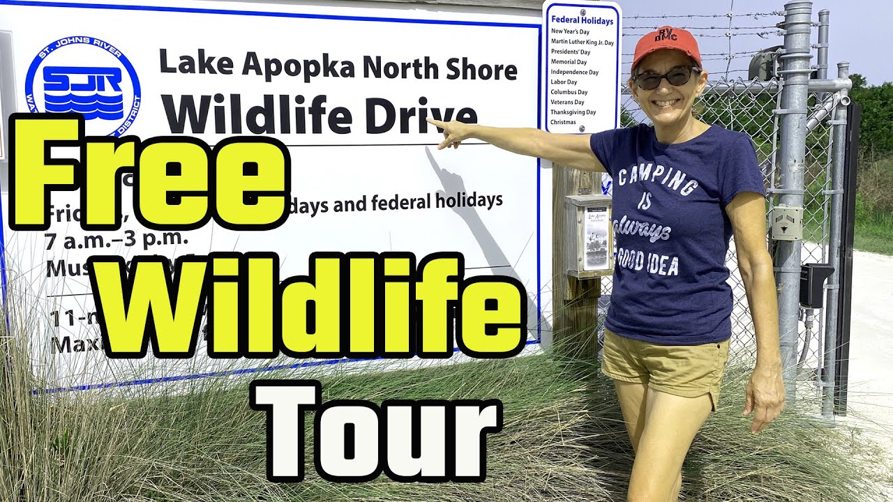 Маршрут для наблюдения за дикой природой на северном берегу озера Апопка (для постоянного прожива...