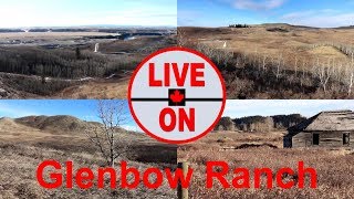 Untamed Beauty Of Glenbow Ranch Provincial Park