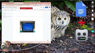 How to Fix Unsupported image type in Google Docs (Permute)