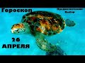 26 АПРЕЛЯ 🛑ГОРОСКОП 🕊✨ПРЕДНАЗНАЧЕНИЕ 🌱АСТРОЛОГИЯ и ТАРО ПРОГНОЗ для каждого знака