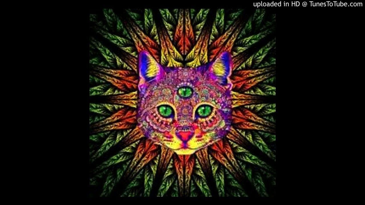 Dmc Mystic   Goa Trance Garage live mix #dmc mys