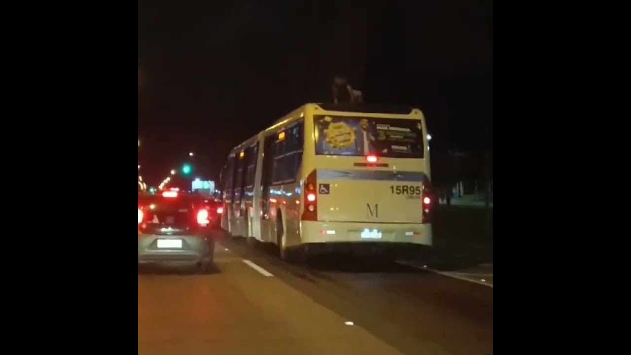 Homem é flagrado 'surfando' em ônibus do transporte coletivo na BR-116, em FRG