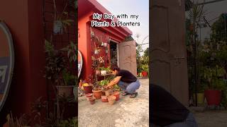 My Day with Plants &amp; Planters!#lifestyle #plantparent #plantlover #mentalwellbeing #mindfulness