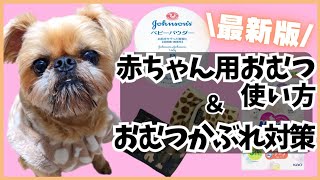 【犬のおむつ】人間用おむつで節約おむつかぶれになった時の対策も♪〜マーキングしちゃう子にオススメ〜