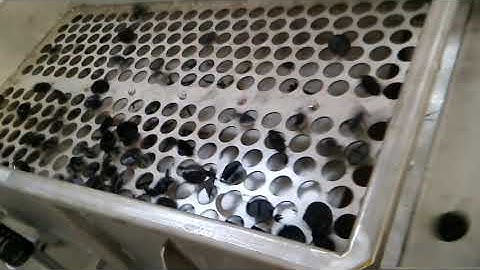 Test video of linear vibrating screen