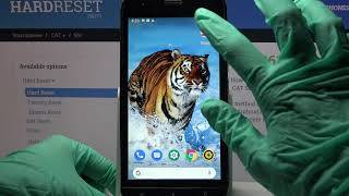 How to Turn On & Off Auto Rotation in CAT S61? screenshot 4