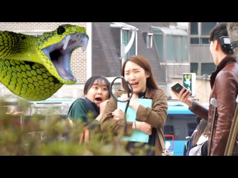 여대생 머리에 <strong>독사가</strong> 떨어지다?! [뱀 떨구기 프랭크] Popping Out Snake Prank ­­｜달총곰