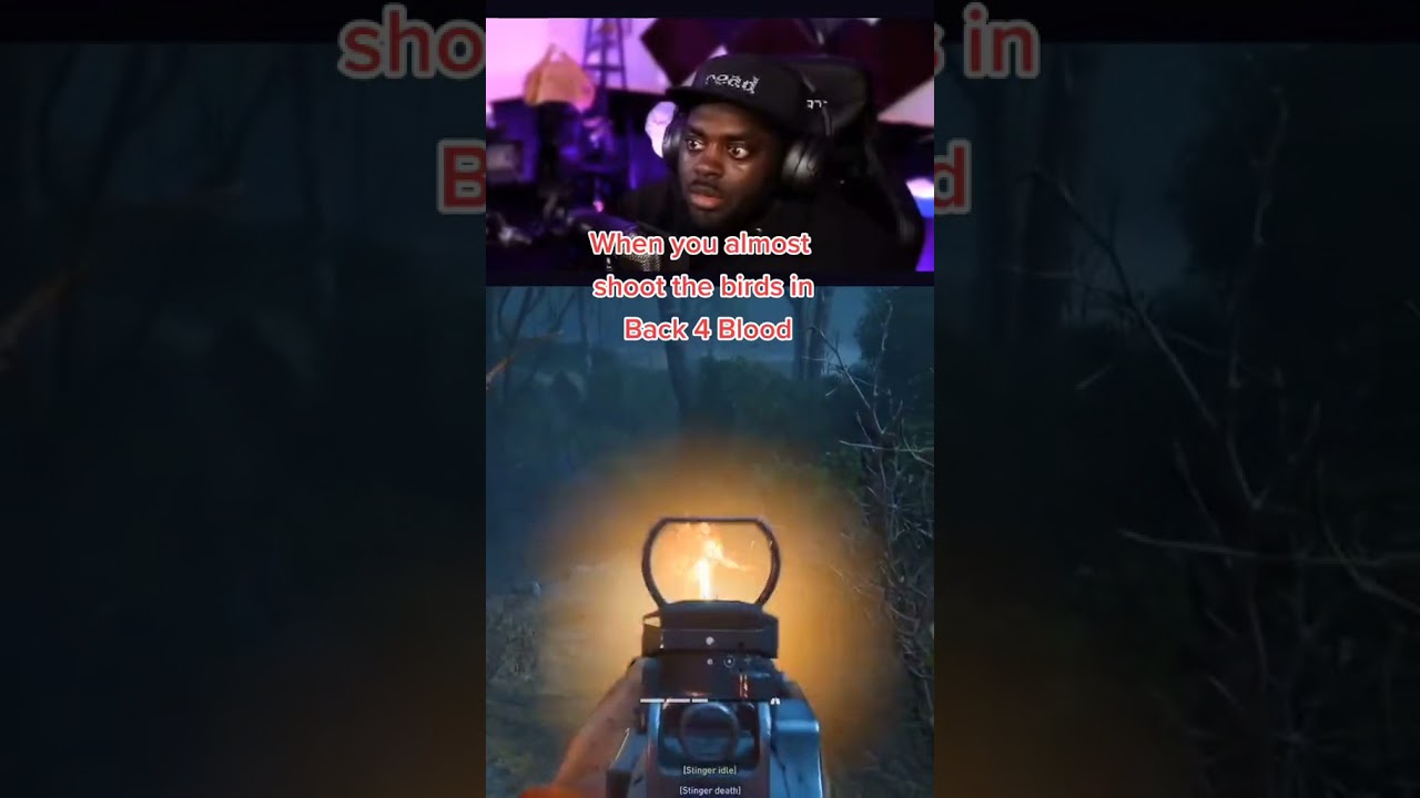 When the birds are the real enemy in 