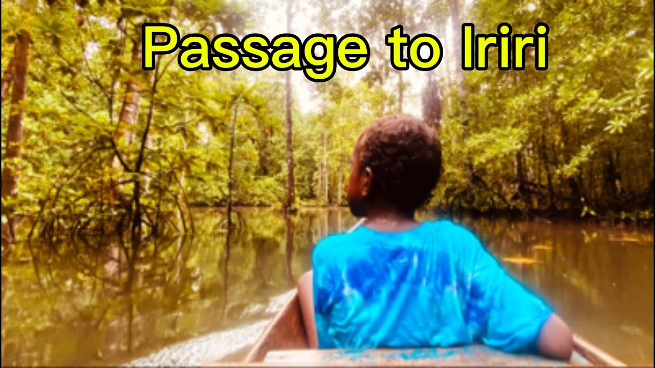 Мы сплавляемся на байдарках по Крокодиловому маршруту к нашей знаменитой Ирири | Редкие встречи |...