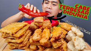 MUKBANG PULUHAN GORENGAN ABANG2 PAKE CABE TERBESAR DIDUNIA!