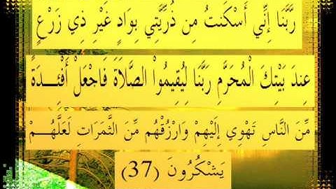 القرآن الكريم سورة إبراهيم الأية 37 قراءة السديس