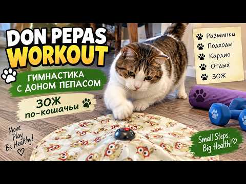 GET FIT WITH DON PEPAS | Workout Smarter, Rest Harder