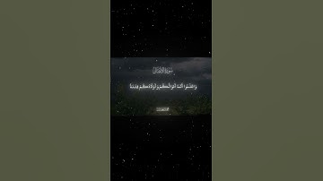 سورة الأنفال|26-27|القارئ:#محمد_اللحيدان #قران #quran #راحة_نفسية #قران_كريم#تلاوة_هادئة#تلاوة_خاشعة