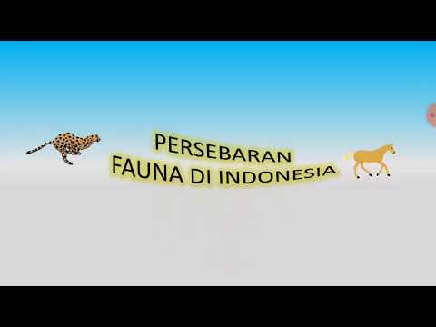 Persebaran Fauna Indonesia- Fauna Asiatik, Peralihan dan Australis