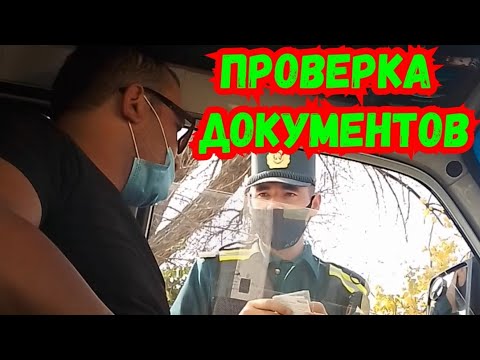 Гаи проверка осаго Гаи проверка осаго