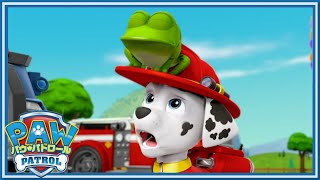 パウ・パトロール | パウ・パトロールのレスキュー名場面集40分 | パウ・パトロール公式