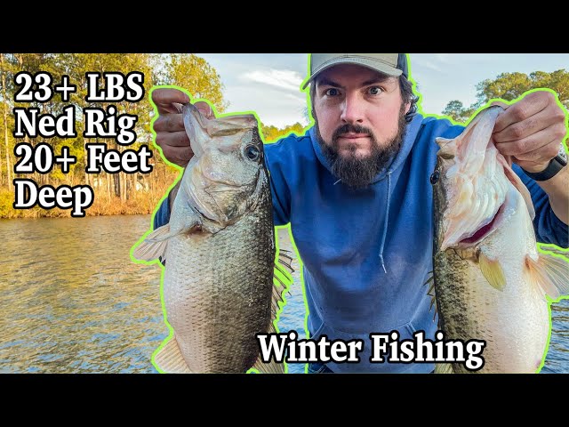 Big Bass Bag - Deep Water Winter Fishing on the Weedless Ned Rig 