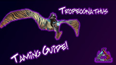 Ark Crystal Isle | Tame Tropeognathus Faster By Hurting It!?!?! (100% Tame Effectiveness)